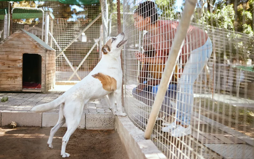 Powyborcze porządki – co zrobić z banerami wyborczymi?